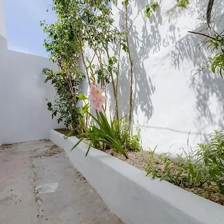 Apartment Renovated Historic ~large & Cozy ~casa Nespereira Lagos